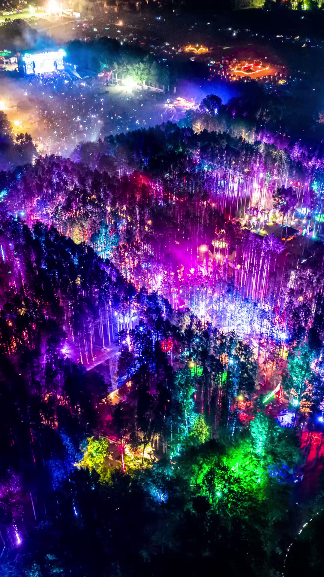 Electric Forest