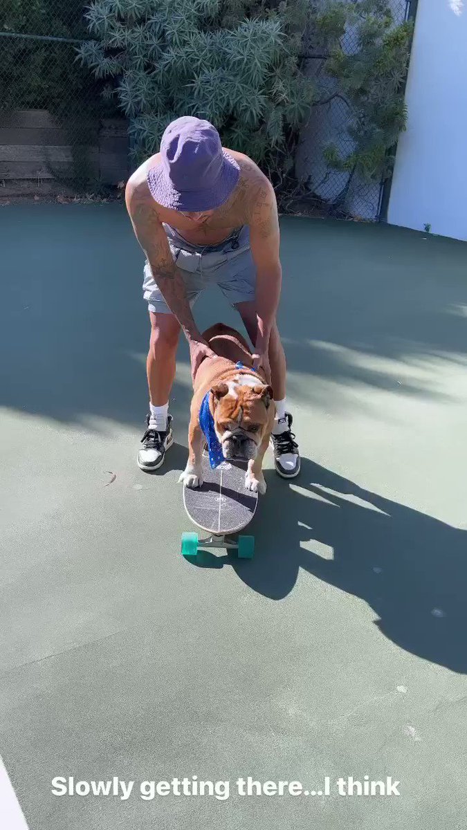 RT @BRlTCEDES: lewis hamilton f1 driver & 7x world champion spends his free time teaching his dog to skateboard https://t.co/SanOkD9gPj