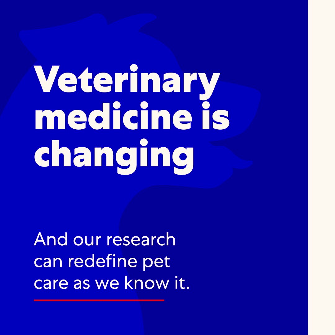 Waltham pet best sale care