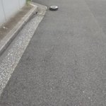 まさか道路で見かけるなんてｗ家出したルンバを発見!