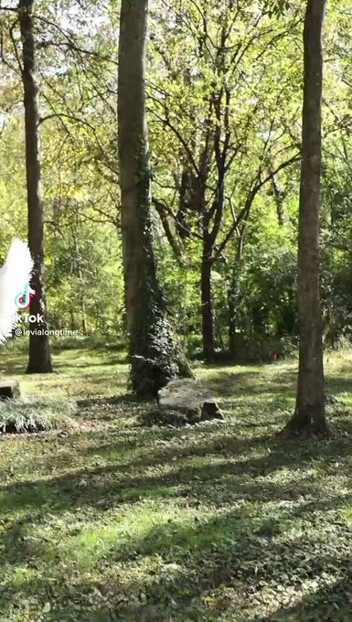 Find me in Wonderland https://t.co/yd2JI0IvIH<a href="/tag/rt"class="tags"><span>#rt</span></a>