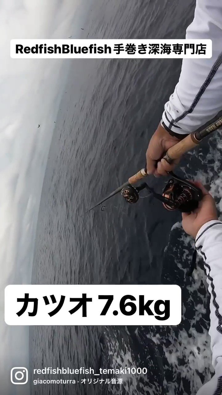 手巻きの人 Red Fish Blue Fish 手巻き深海専門店 Temaki1000 Twitter