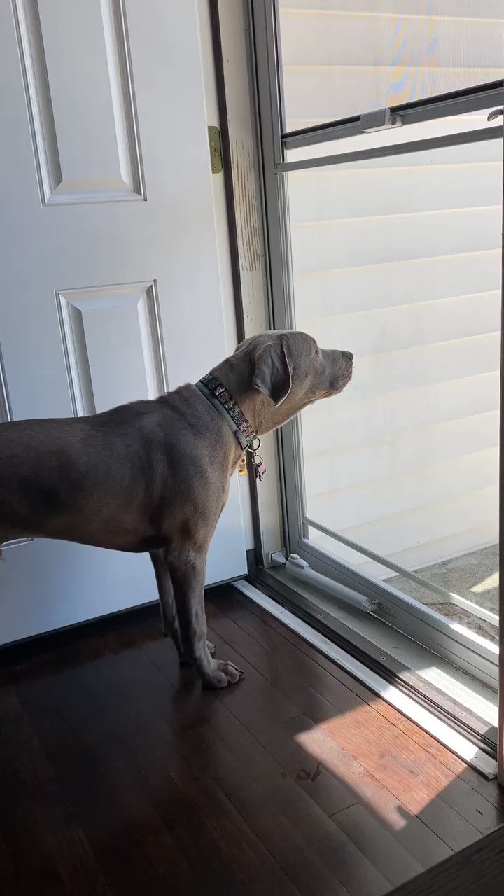 Jack Straw from Wichita (jackstrawlab) / Twitter