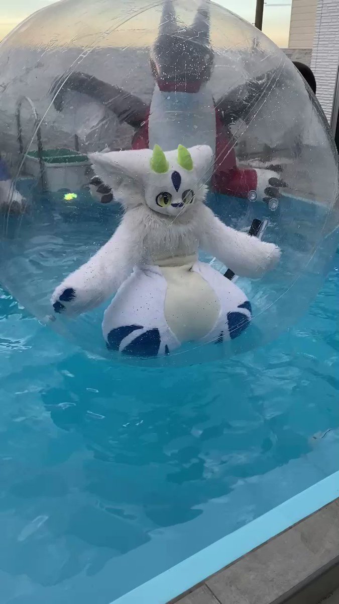 @orca672200s video Tweet