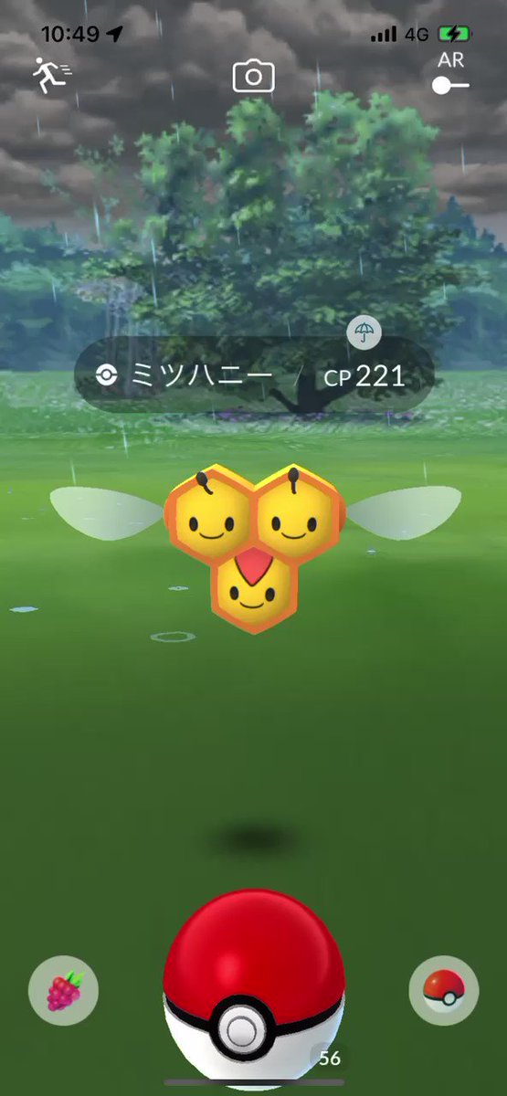 ミツハニー Twitter Search Twitter