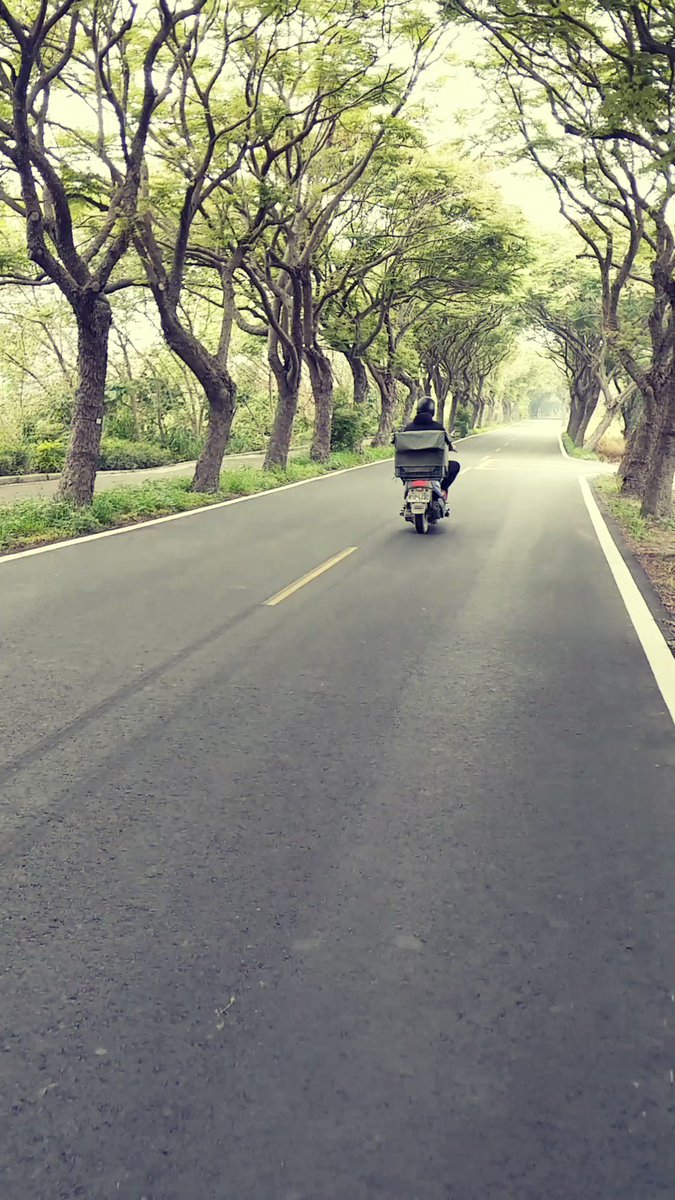 騎行在台灣的鄉間道路...... (Taiwan Scooter Ride) ★看其他最新影片：https://t.co/7EiMipve29