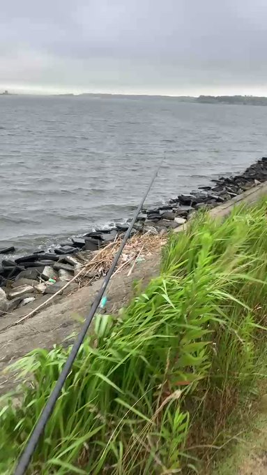 画像まとめ 風が強く吹いている 新着 10ページ目 アニメレーダー