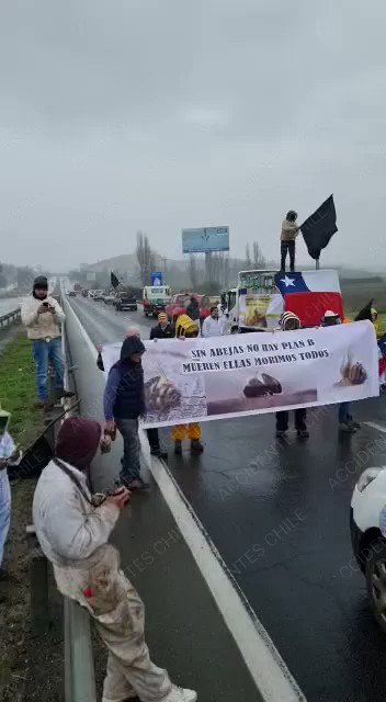 RT @chile_accidente Ruta 68 Manifestaciones en el km 79,1 sector Lo Vásquez en dirección a Santiago, con restricción de pistas lenta y berma Transite con precaución. @fdo2000 @Pabl0Manzanares @SanAntonio_SOS