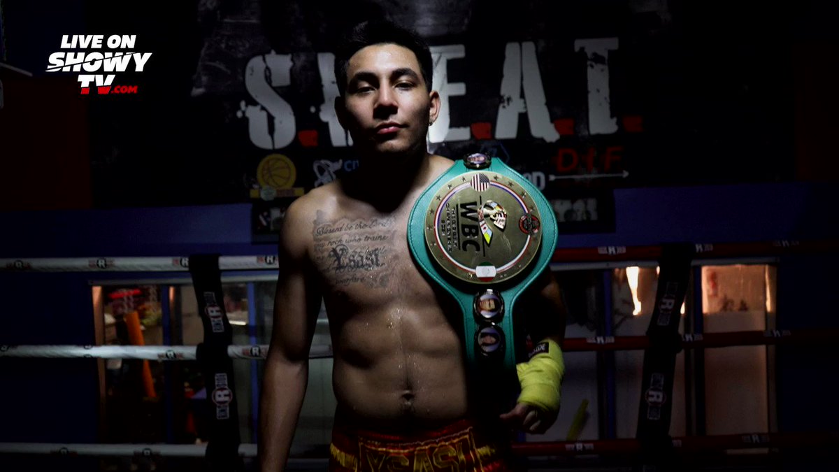 @boxing_showcase's video Tweet