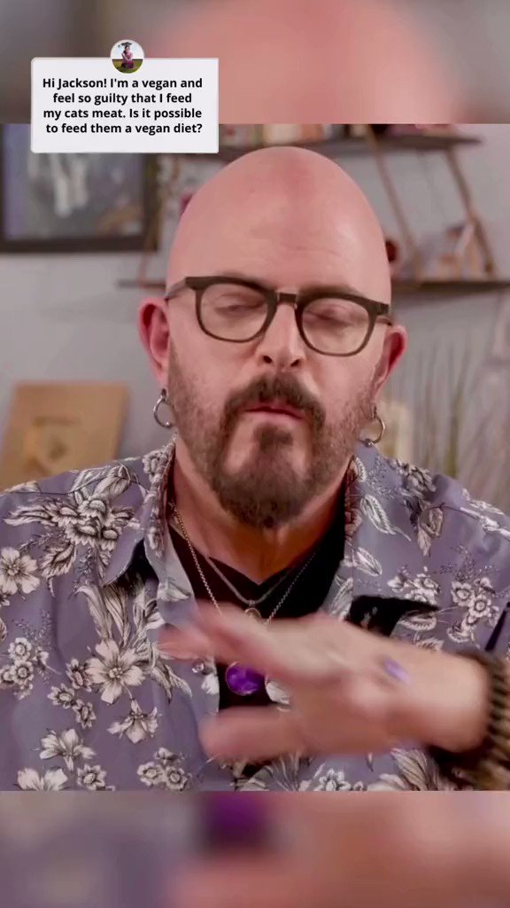 Jackson Galaxy on Twitter "Can cats be vegan? Can cats eat a 