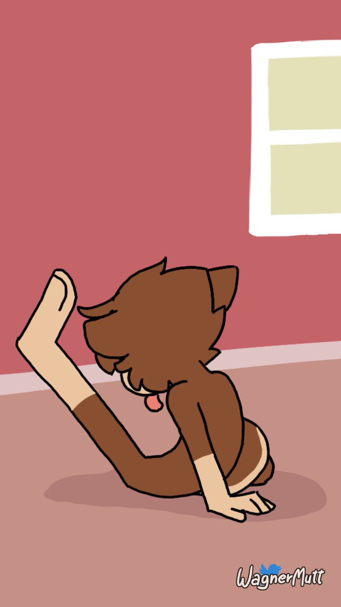 @WagnerMutts video Tweet