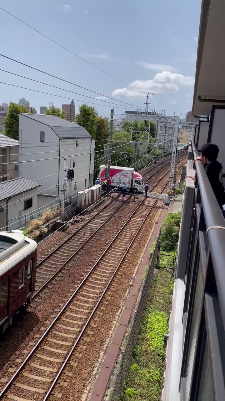 オムレッツ Yuheisugino Twitter