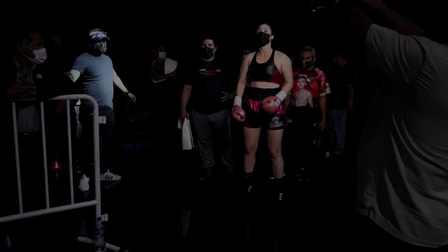 @boxing_showcase's video Tweet