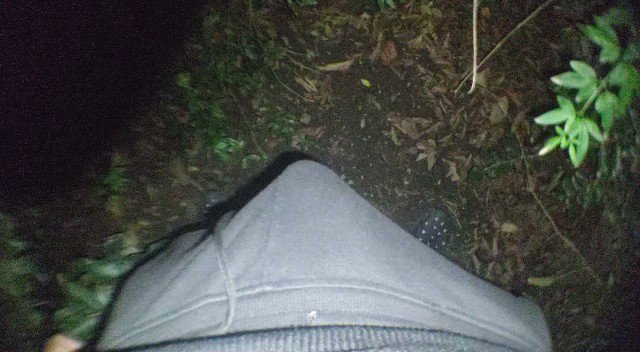 Got a huge boner in the woods and just had to bust a quick nut.  (full video on PH soon) https://t.c