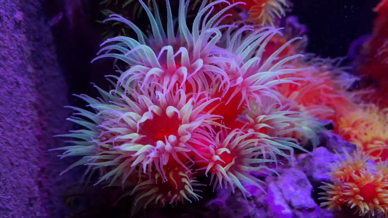 海を創る Yamawarau / ACROSS THE GALAXY ( song from 