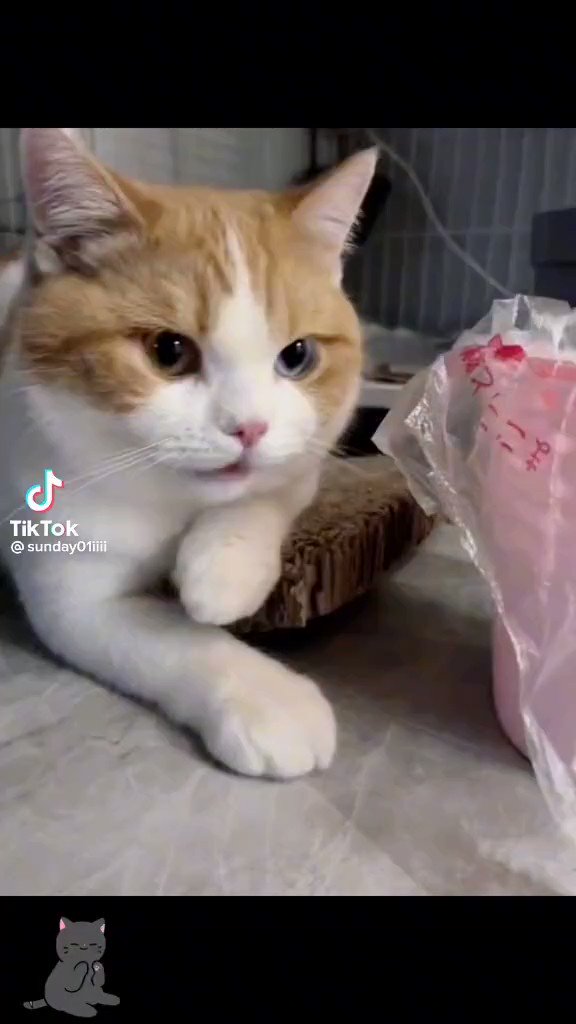 Gwen 💞🧚🏻‍♀️🌷💫 on Twitter "Rip my and touch me 💦💦💦 https//t