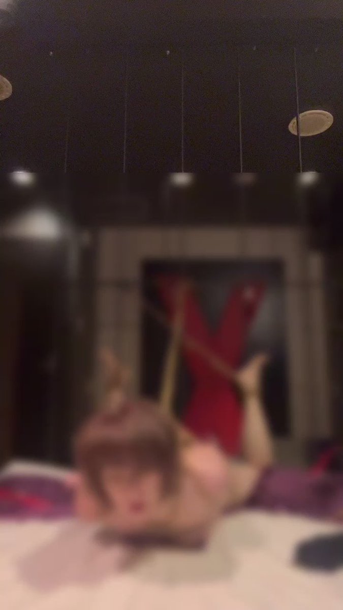 Video oleh @goshujinsam