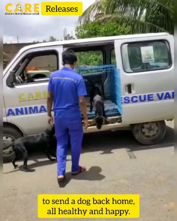 Charlie's Animal Rescue Centre (@careshelterblr) / Twitter Charlie's Animal Rescue Centre (@careshelterblr) / Twitter
