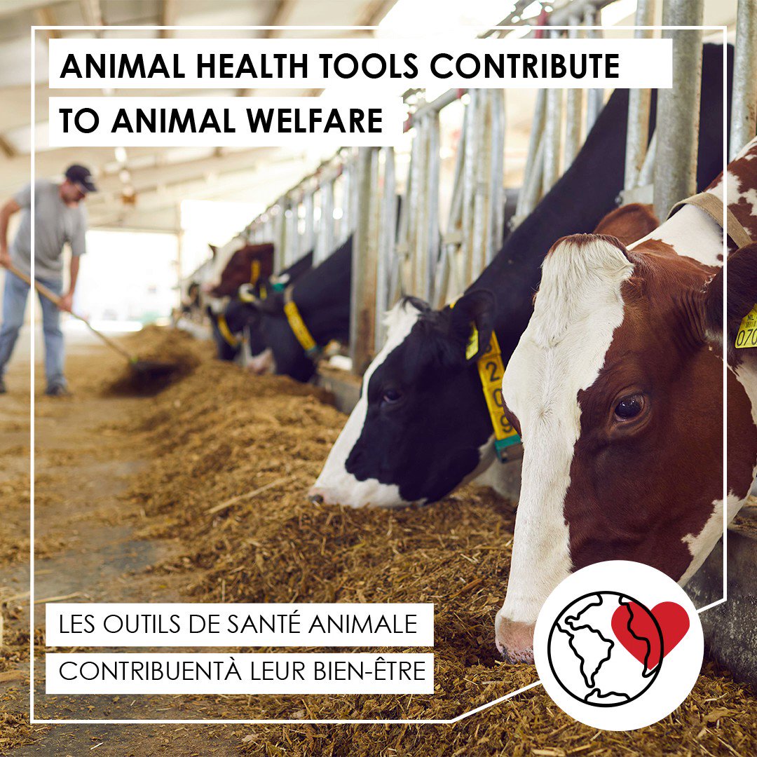 Canadian Animal Health Institute (CAHI) on Twitter: 