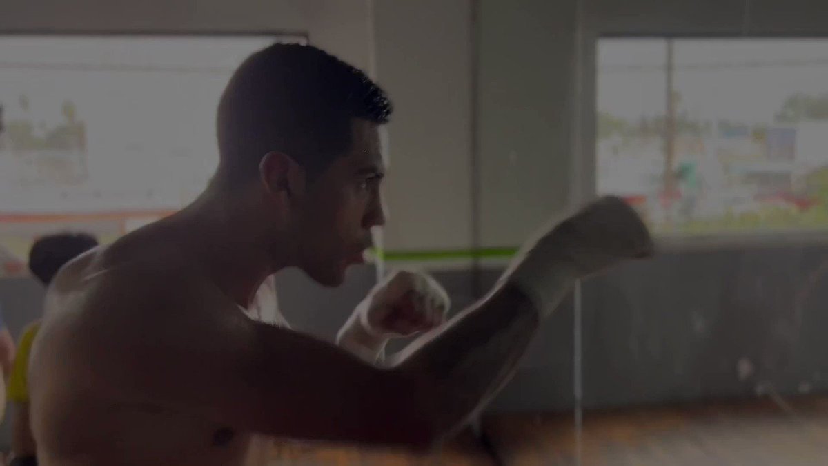 @boxing_showcase's video Tweet