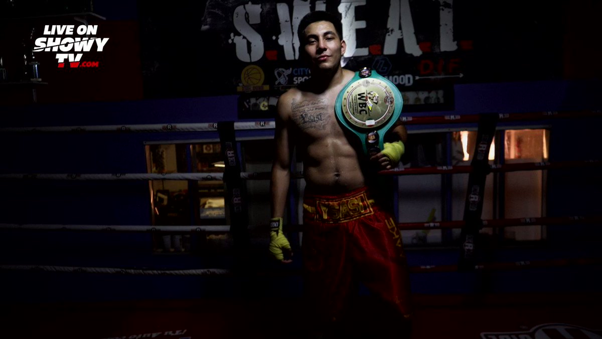 @boxing_showcase's video Tweet