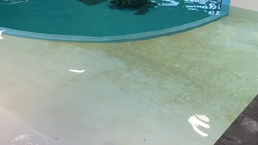 シーサイドホテル芝弥生 芝弥生会館 東京都港区 の施設情報 予約 神田川のページ