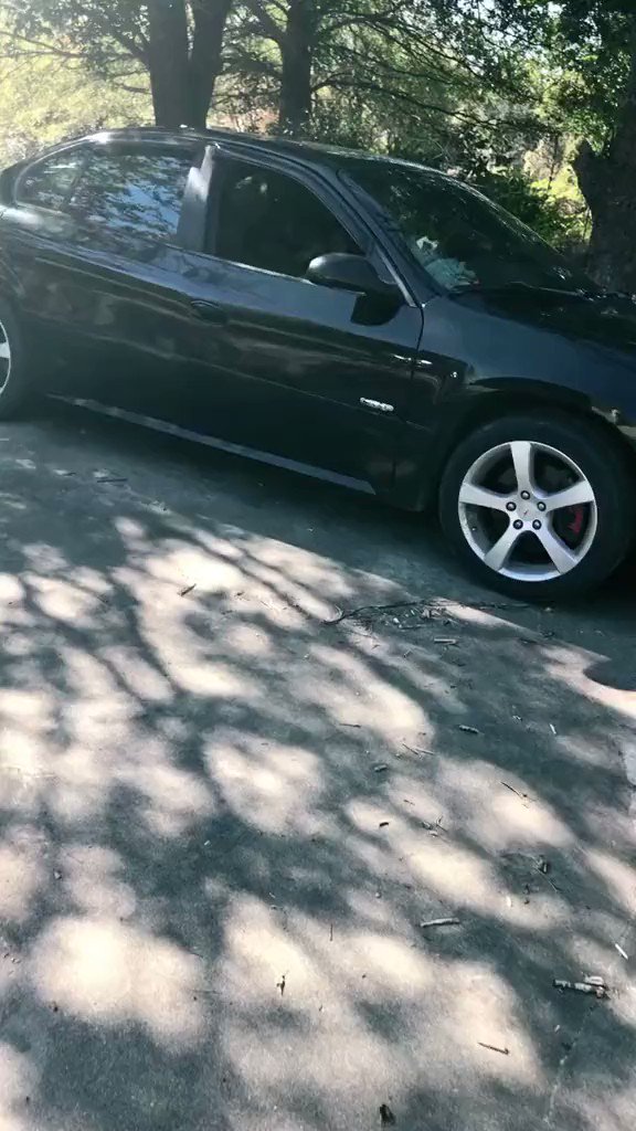 これは衝撃的過ぎる。「車の中が騒がしかったので覗いてみた」