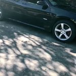 これは衝撃的過ぎる。「車の中が騒がしかったので覗いてみた」