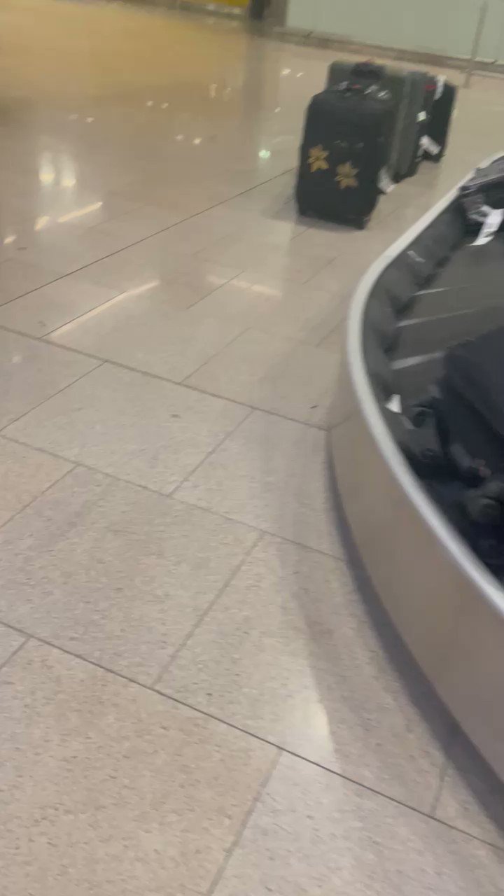 Aer Lingus Missing Luggage Complaints (AerLuggageHelp) / Twitter