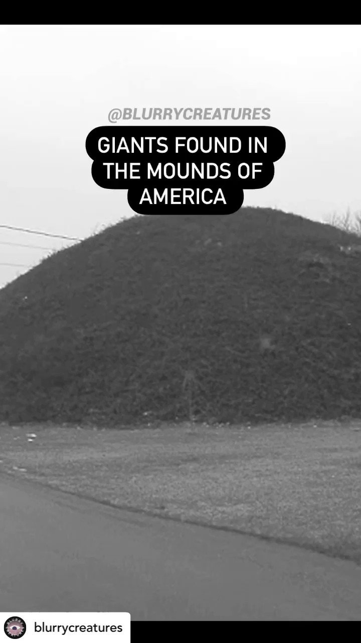 The Official Professor Horatio F. Melonhead 3 (PMelonhead3) / Twitter