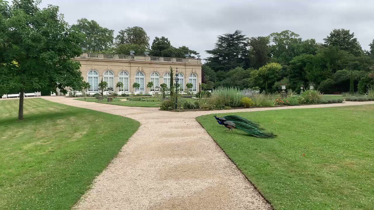 福田 優花 Yuka Fukuda Yuka Fukuda Twitter