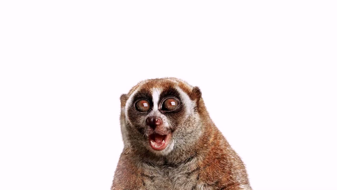 Bill Schulz (@BillSchulz) / Twitter