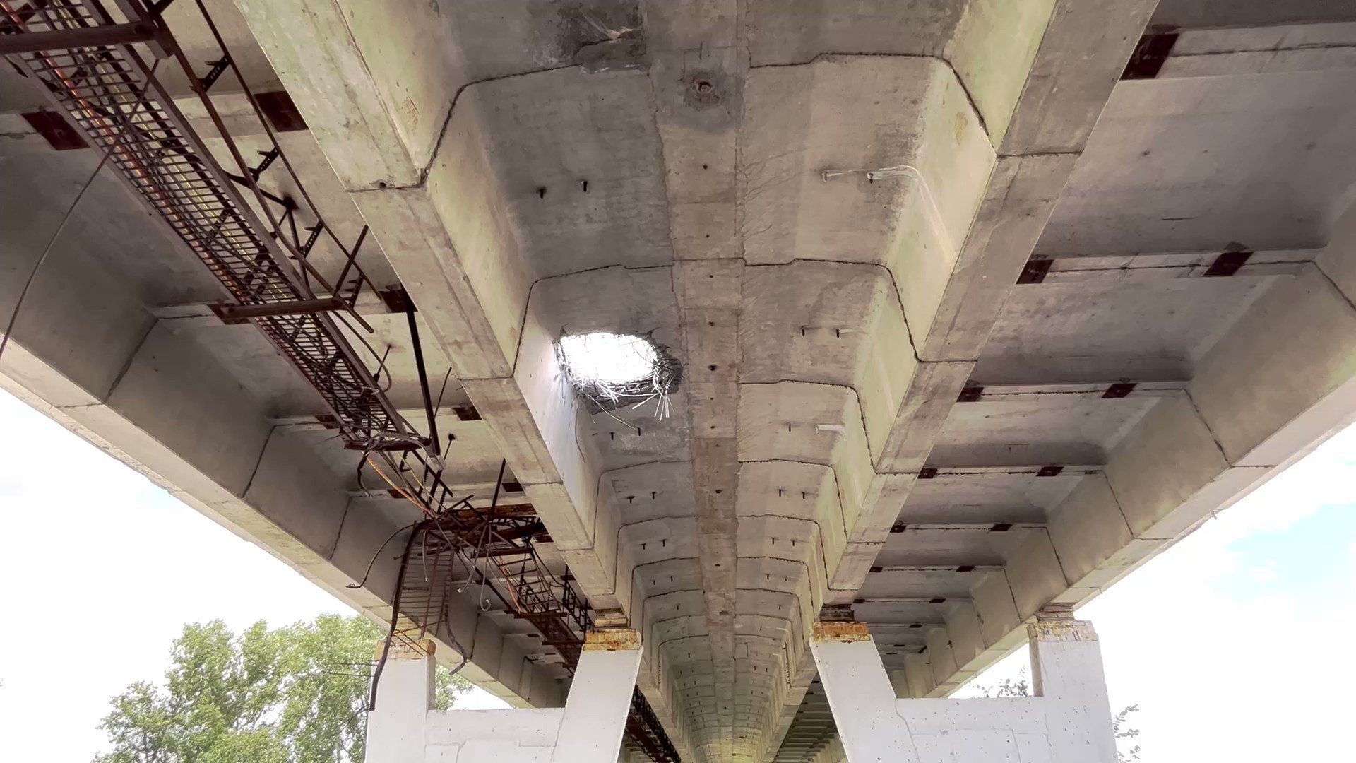 q-ZNfRz8JePgYJ5-.jpg:large