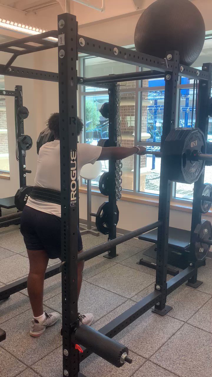 reverse hyperextension machine reddit