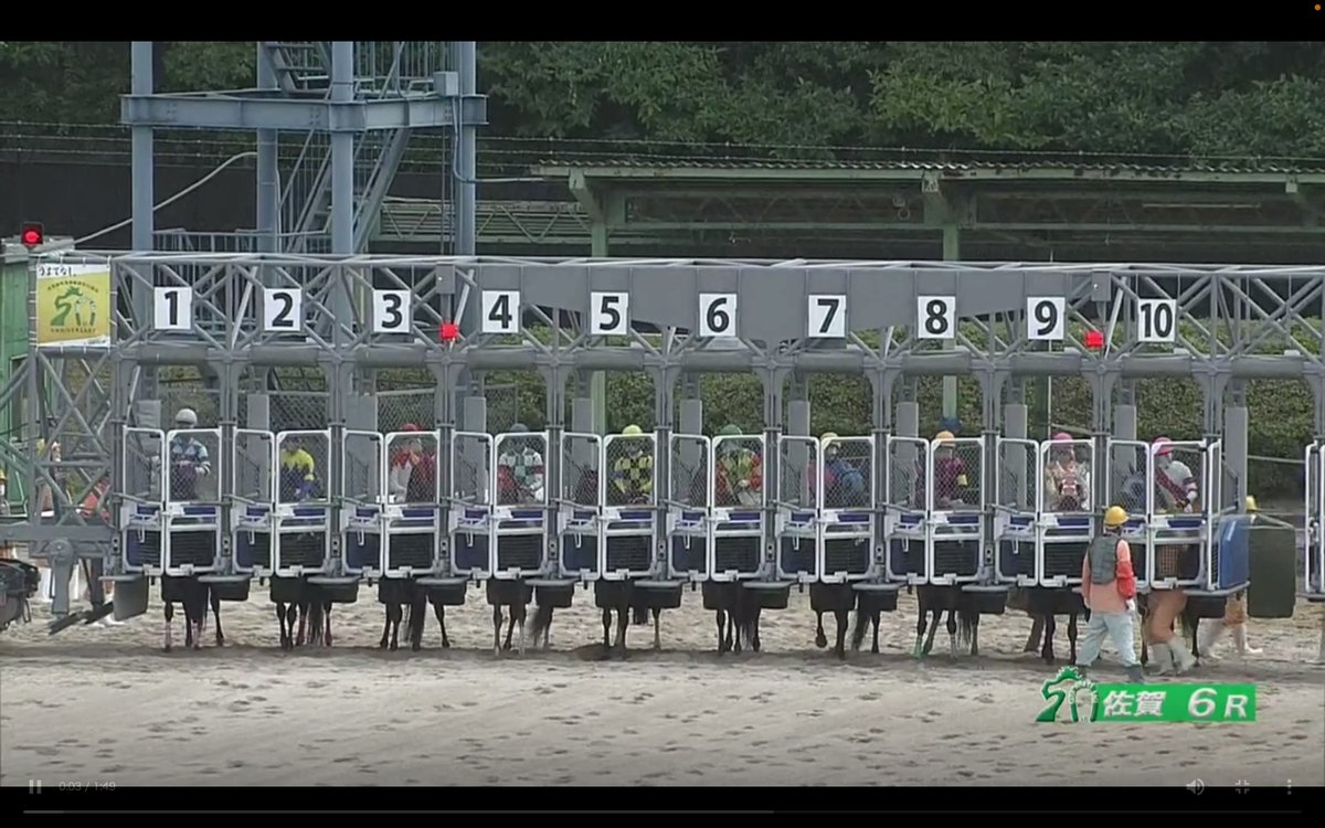 #佐賀競馬

エイシンアルゴス
8勝目おめでとう

(父)エーシンモアオバー号
9月27日に天国へ旅立ちました。
那須塩原のブレーヴステイブルさん
ブログを拝見しました。
大変お世話になり、有難うございました。
https://t.co/ltudIrDC6K

産駒で唯一の『牡馬』
父系を継ぐエイシンアルゴス：父の12勝へ  