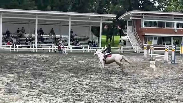 おお！デルマイダテンじゃないか！ 