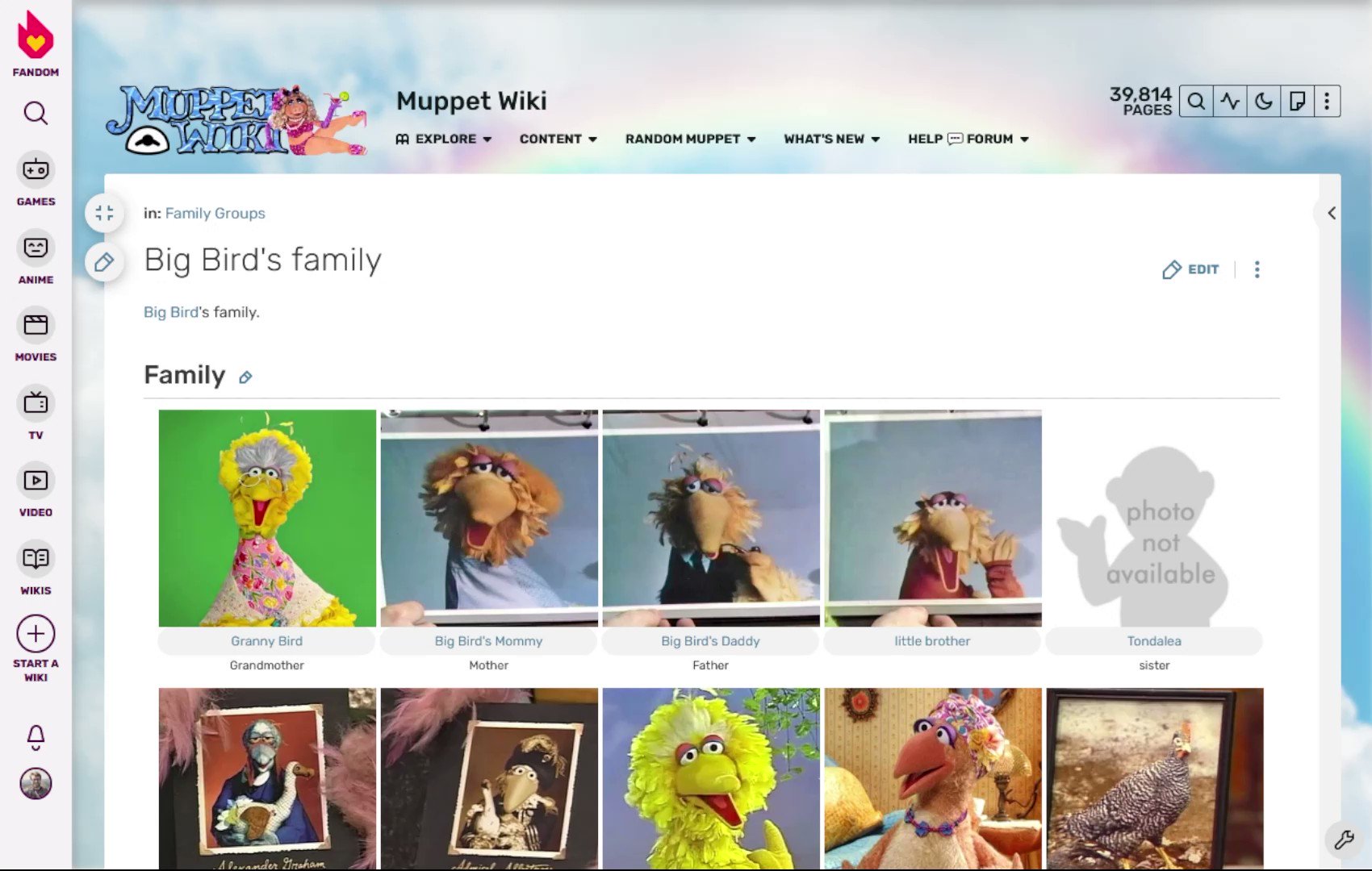 Muppet Wiki on Twitter: "Did you know?Big Bird actually has quite
