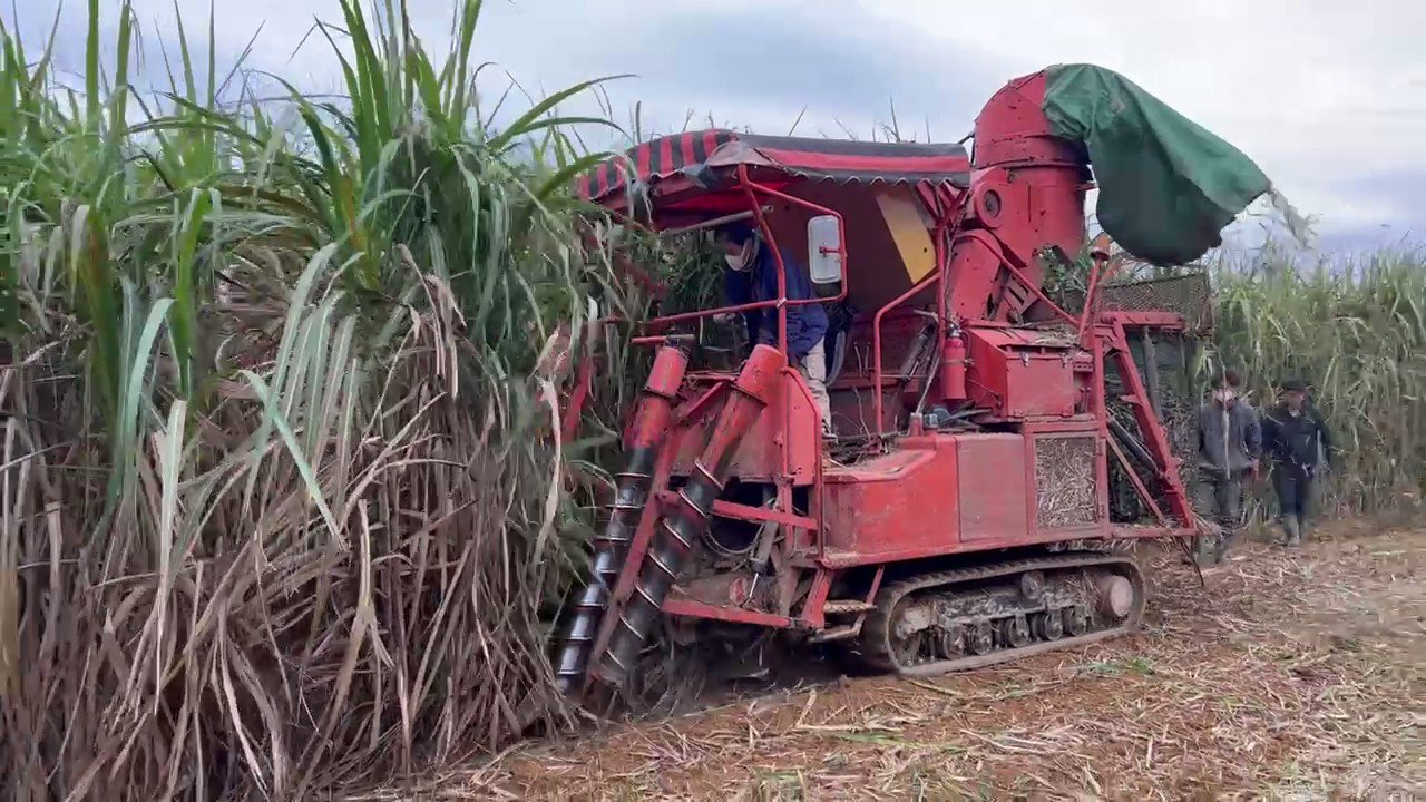 Tabaken Farm Tabakenfarm Twitter