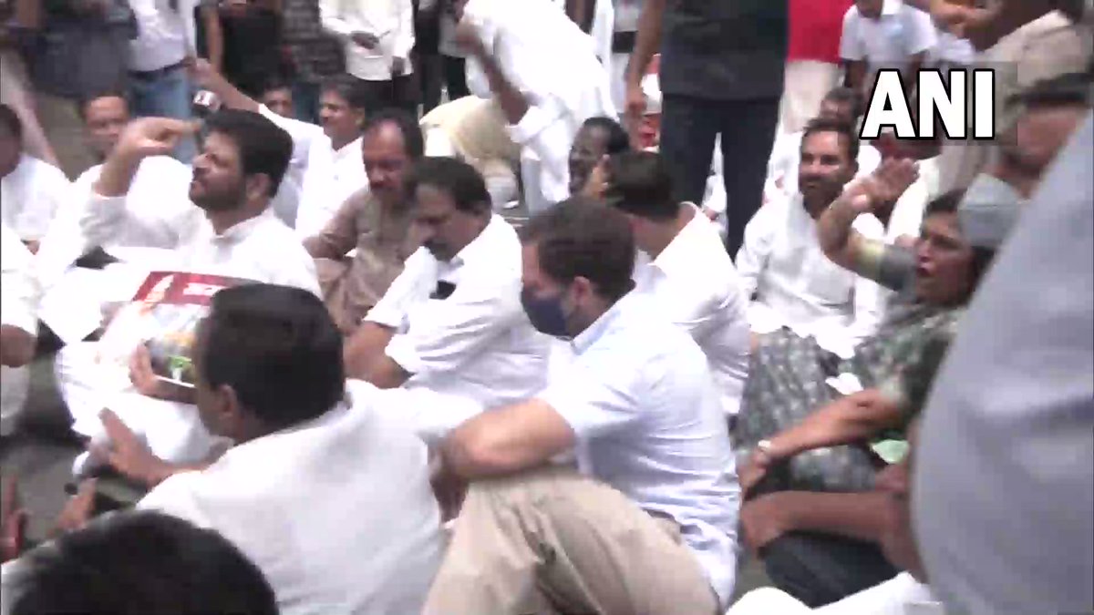 India is a police state': Rahul Gandhi, Congress MPs detained for protest  in Delhi