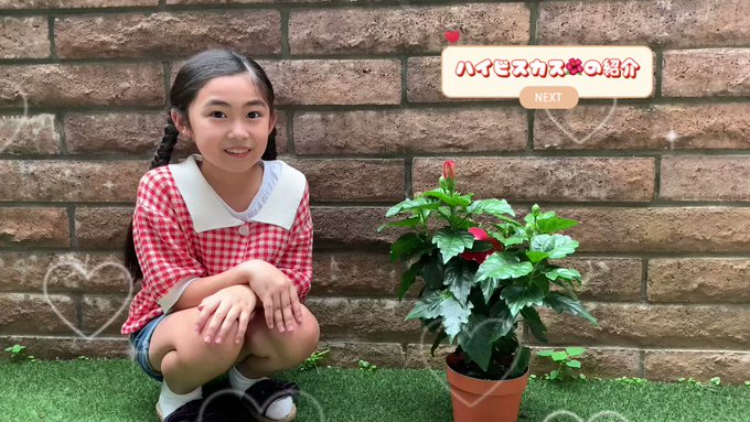 福島葵のTwitter動画15