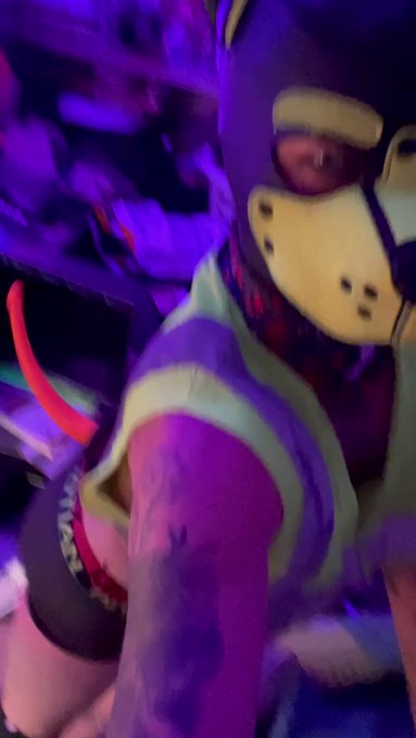 Check out PupApocalypse's video! #TikTok https://t.co/HwSE0XpKIJ https://t.co/9s7w6jO8fB