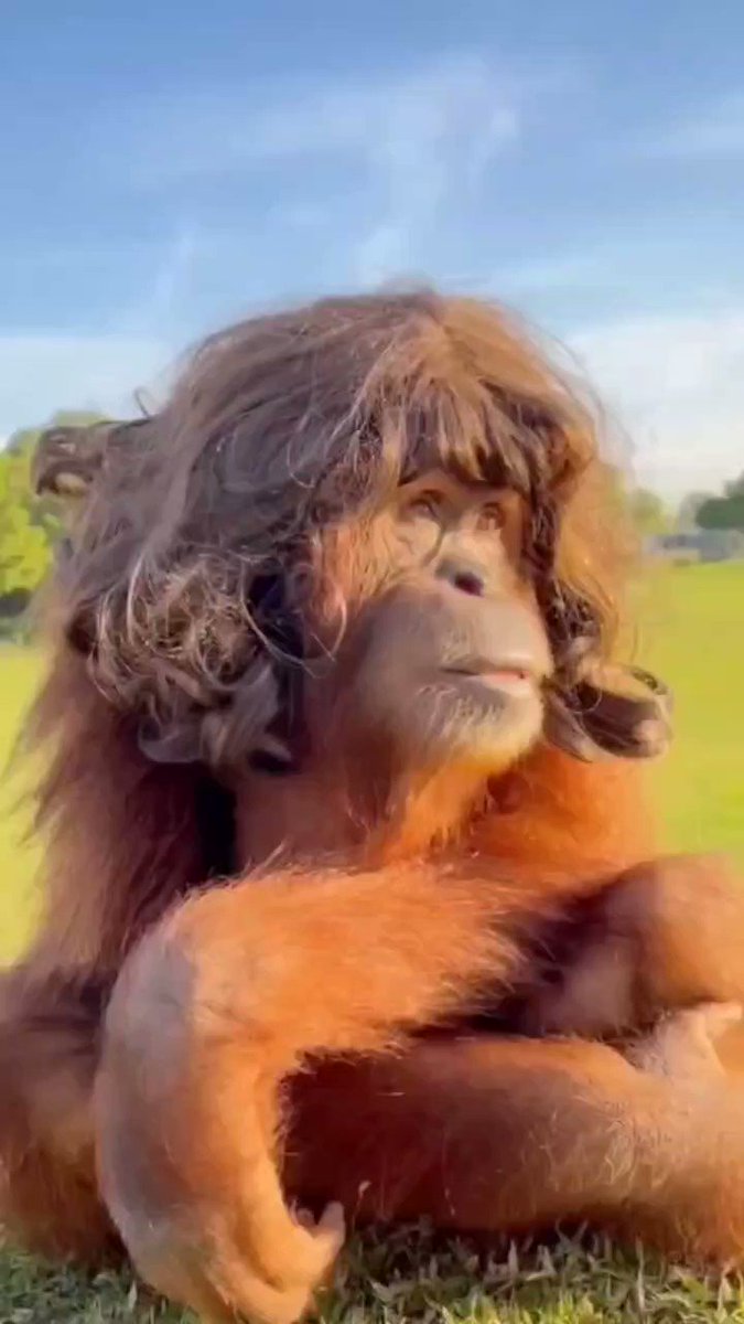 Toshakda kichik qizi bilan porno