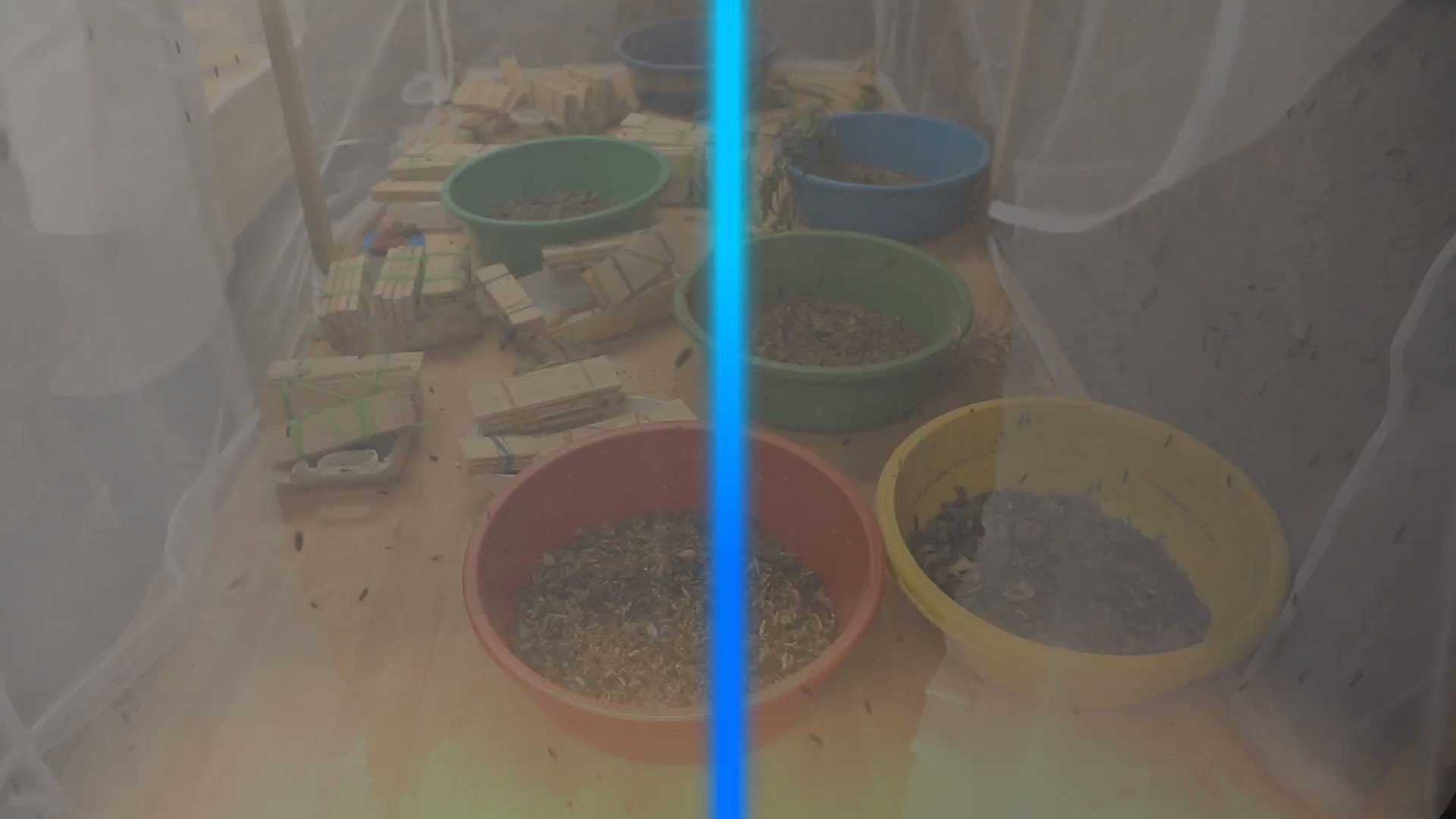 Embassy of Belgium in Rwanda (BelgiumRwanda) / Twitter