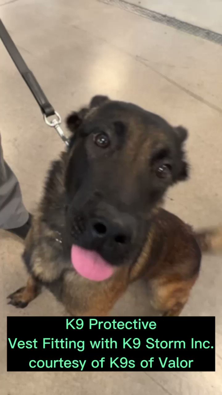 ScottsdalePD on Twitter: ScottsdalePD on Twitter: