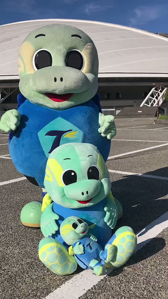 【ご家族大募集】トリニータ♡ニータン&リッジー ながたっちトリサポさん🥭🐢⚽️ on X: 
