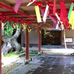 ツイートに含まれる画像