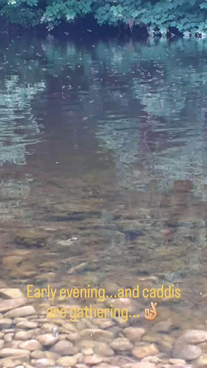 Paul Procter FlyFish (paulprocter) / Twitter