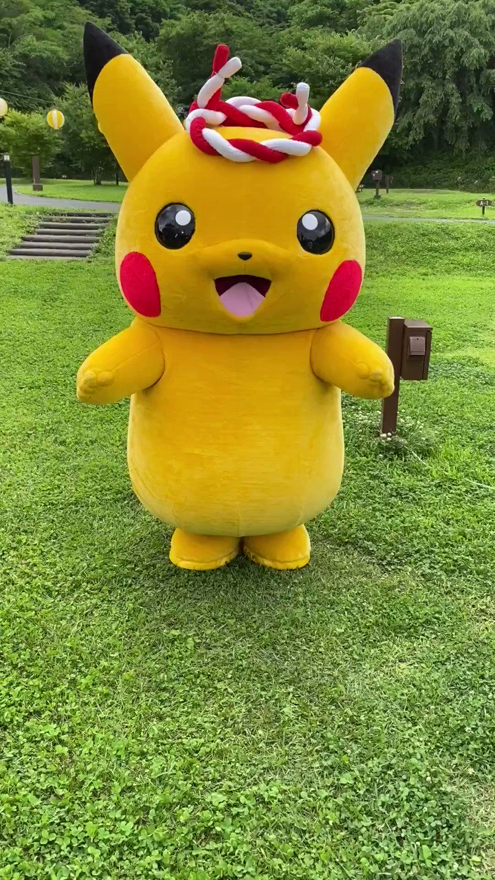 ポケモンだいすきクラブ編集部【公式】 on X: 