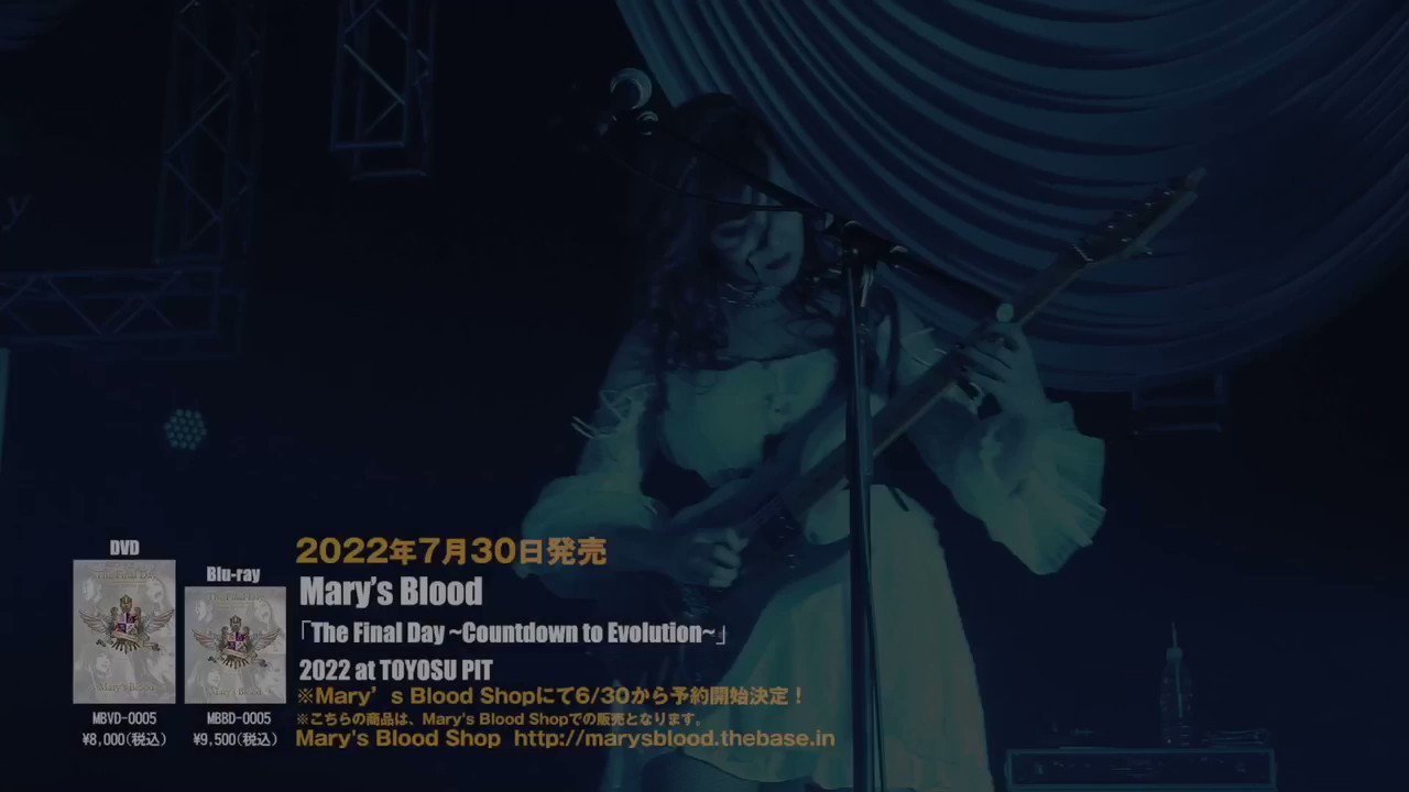 Mary’s Blood　メアリーズ ブラッド　抽プレ当選品　直筆サインポスター Mary's Blood メアリーズ ブラッド 抽プレ当選品 直筆サイン