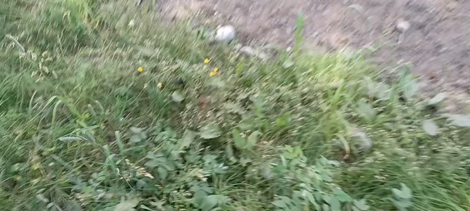 Just hanging out in the mountains. https://t.co/5UHE4GICyb<a href="/tag/models"class="tags"><span>#models</span></a><a href="/tag/fitness"class="tags"><span>#fitness</span></a><a href="/tag/photography"class="tags"><span>#photography</span></a><a href="/tag/malemodel"class="tags"><span>#malemodel</span></a><a href="/tag/brendonknox"class="tags"><span>#brendonknox</span></a>